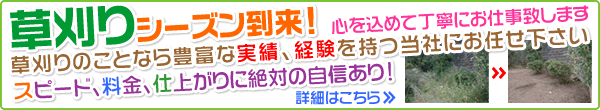 草刈りならプロキシーサービス仙台にお任せ下さい！